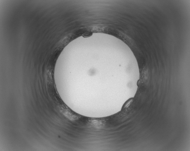 X0000080670522200701051011