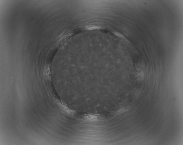 X0000080670523200701051011