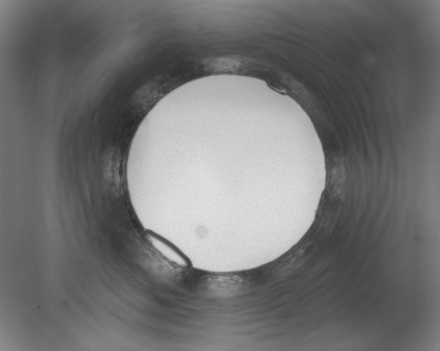 X0000080670525200701051011