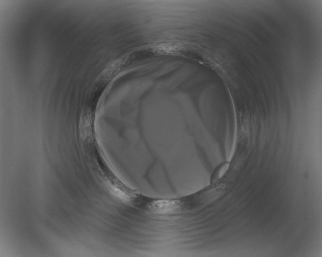 X0000080670526200701051011