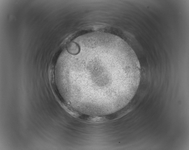 X0000080670527200701051011