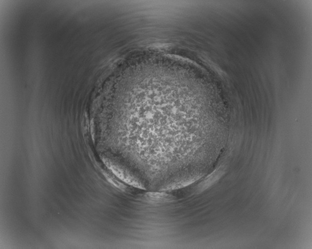 X0000080670528200701051011