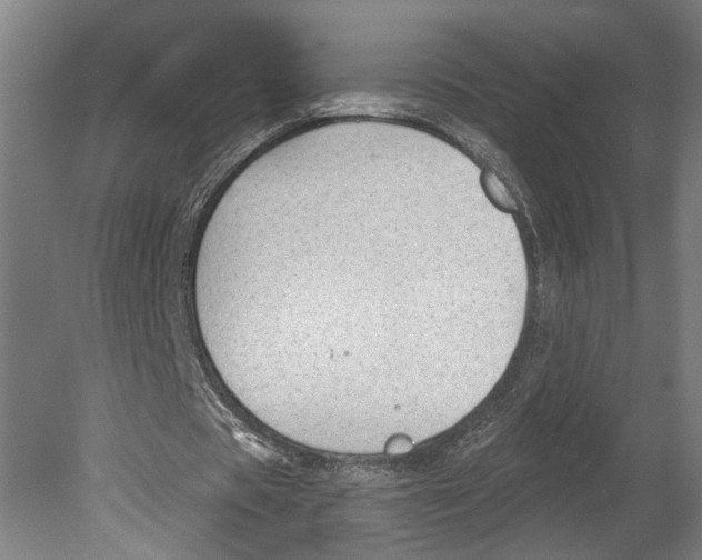 X0000080670529200701051011