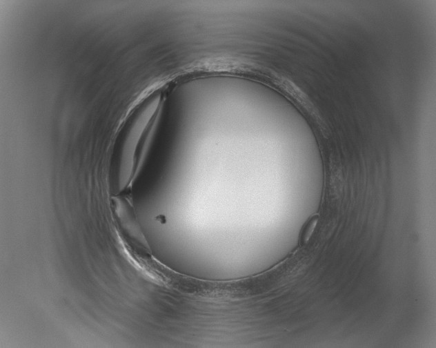 X0000080670530200701051011