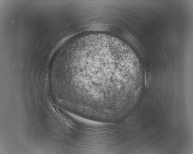 X0000080670531200701051011