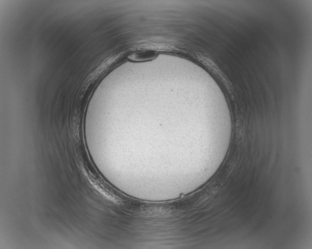 X0000080670533200701051011