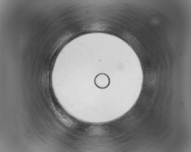 X0000080670534200701051011