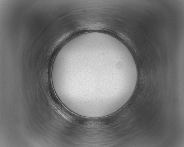 X0000080670535200701051011