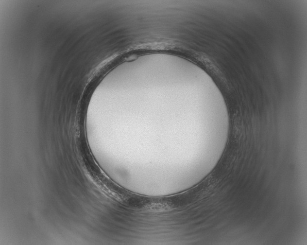 X0000080670536200701051011