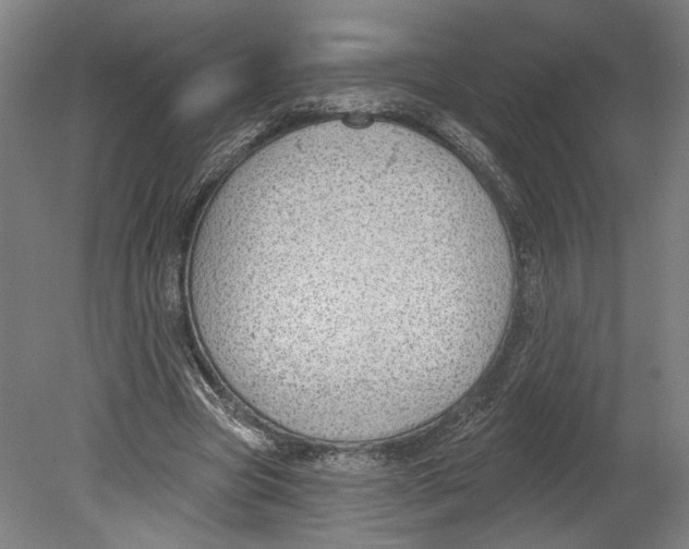 X0000080670537200701051011