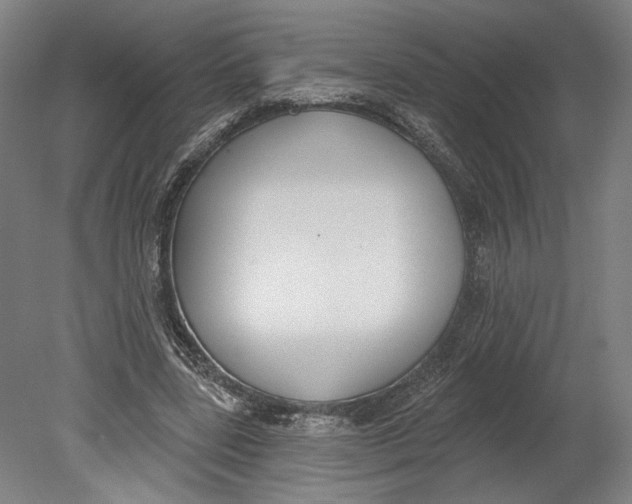 X0000080670539200701051011