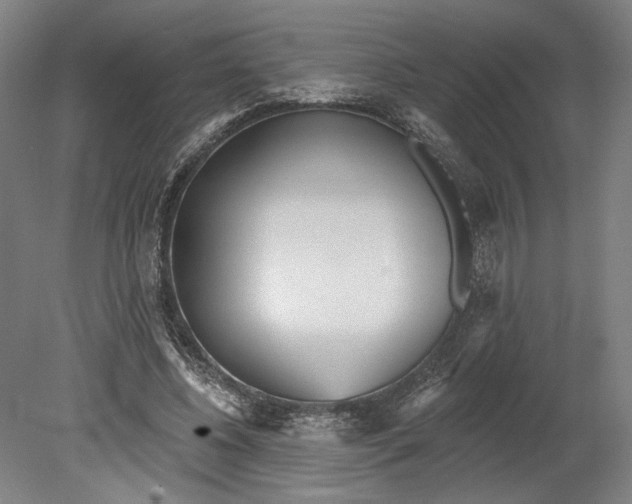 X0000080670540200701051011