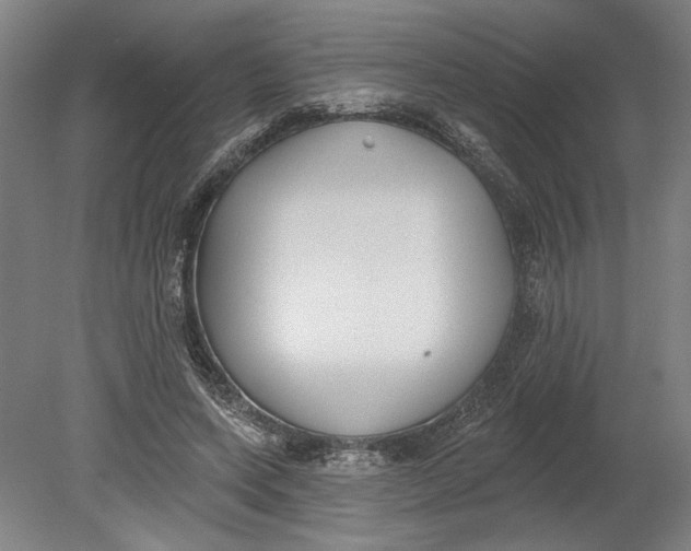 X0000080670543200701051011