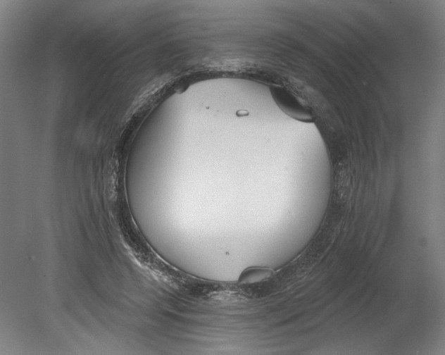 X0000080670544200701051011