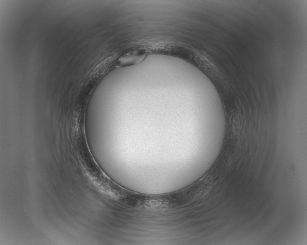 X0000080670546200701051011