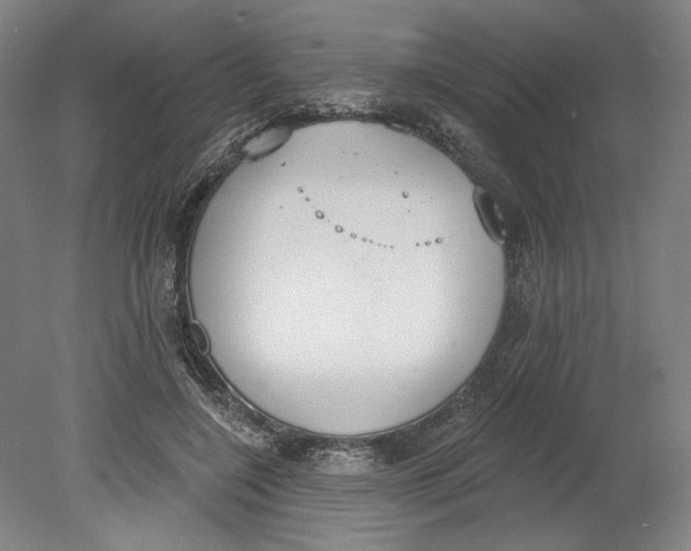 X0000080670548200701051011