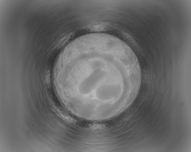 X0000080670549200701051011