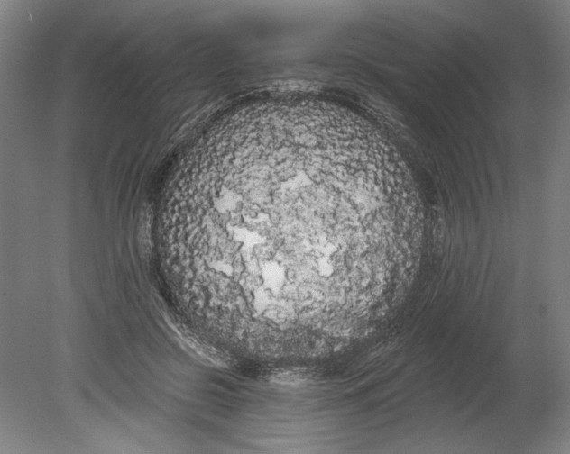 X0000080670550200701051011