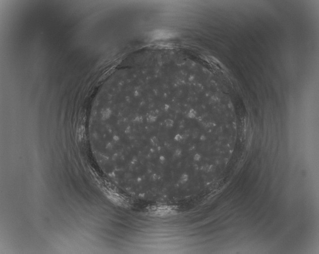 X0000080670553200701051011