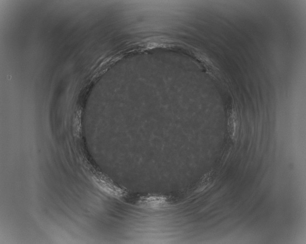 X0000080670554200701051011