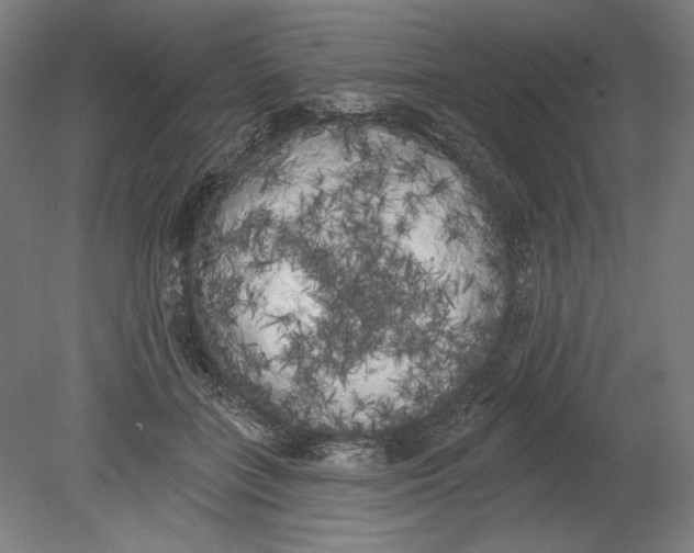 X0000080670555200701051011