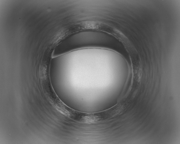 X0000080670556200701051011