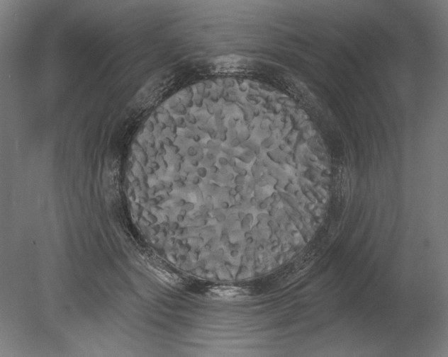 X0000080670557200701051011