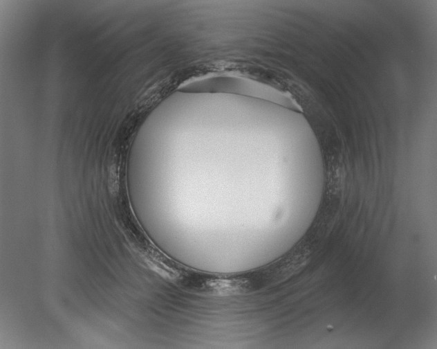 X0000080670558200701051011