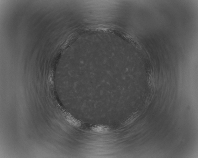 X0000080670561200701051011