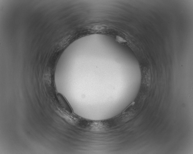 X0000080670562200701051011