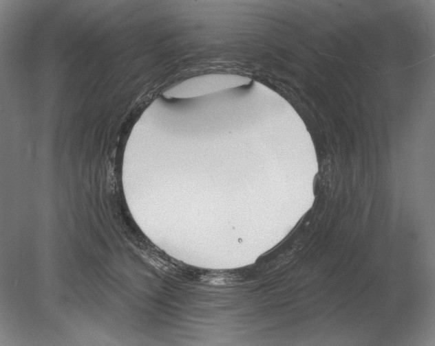 X0000080670564200701051011