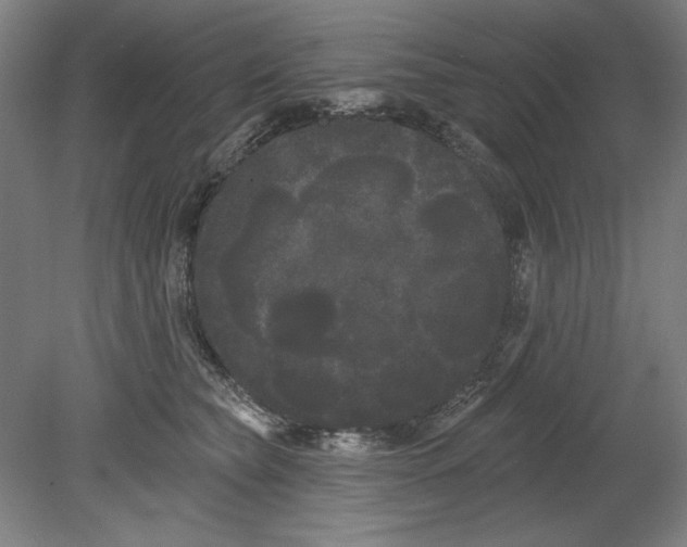 X0000080670565200701051011