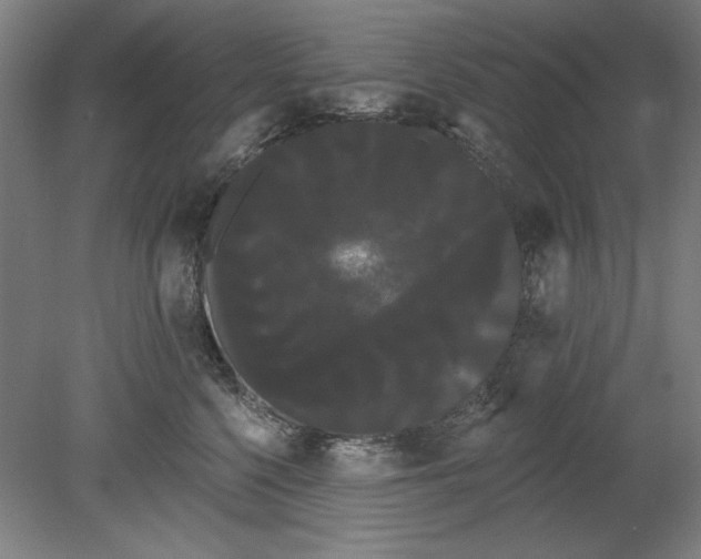 X0000080670568200701051011