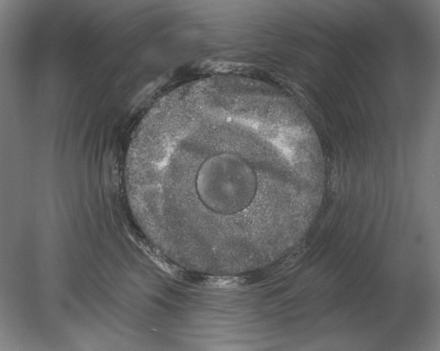 X0000080670569200701051011