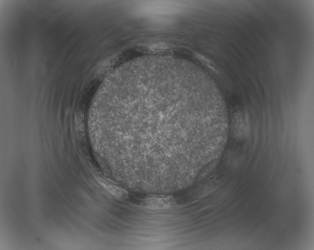 X0000080670571200701051011