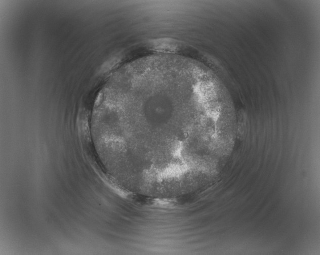 X0000080670573200701051011