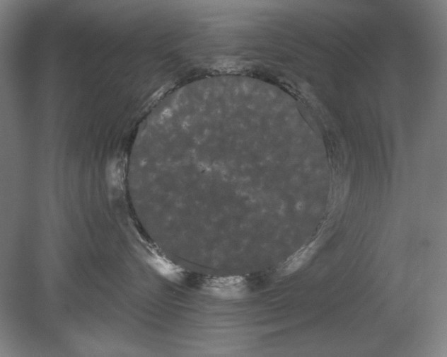 X0000080670576200701051011