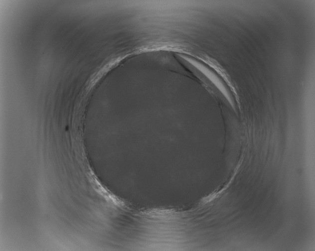 X0000080670577200701051011