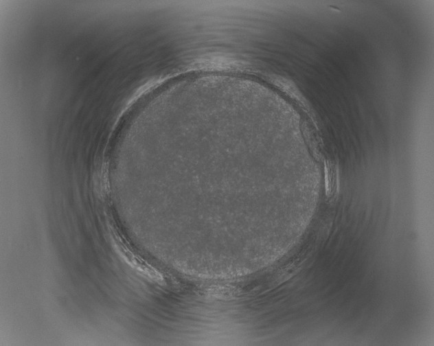 X0000080670579200701051011