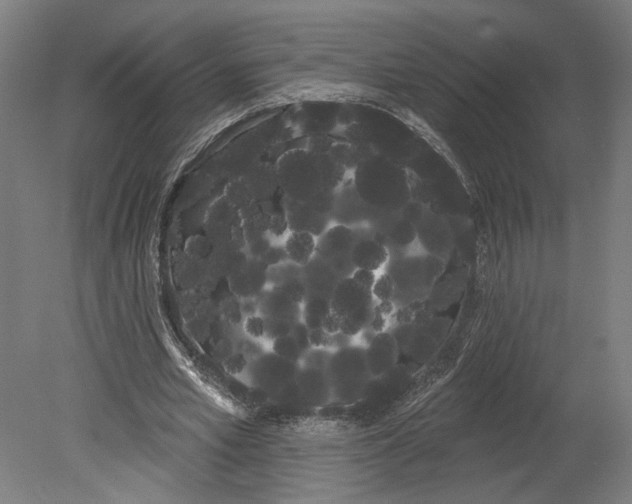 X0000080670581200701051010