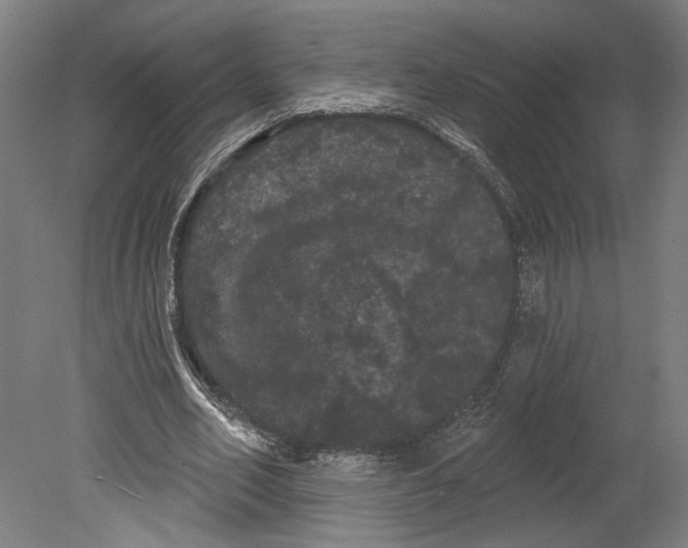 X0000080670582200701051010