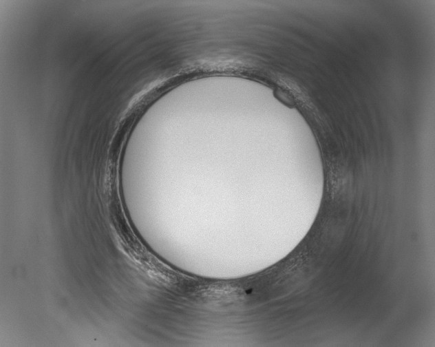 X0000080670583200701051010