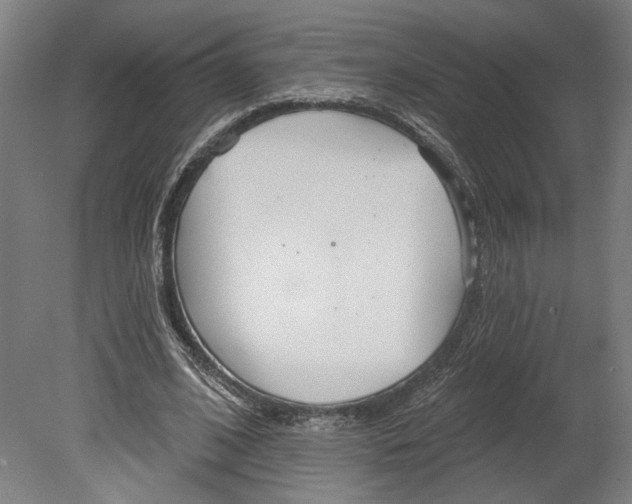 X0000080670584200701051010