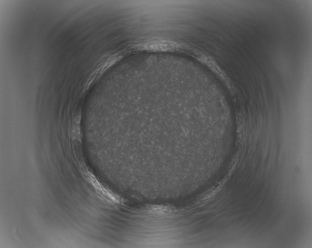 X0000080670585200701051010