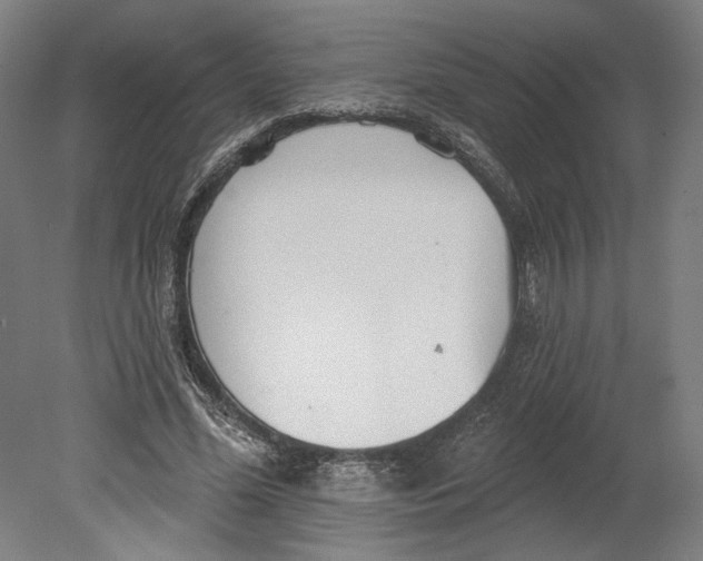 X0000080670588200701051010