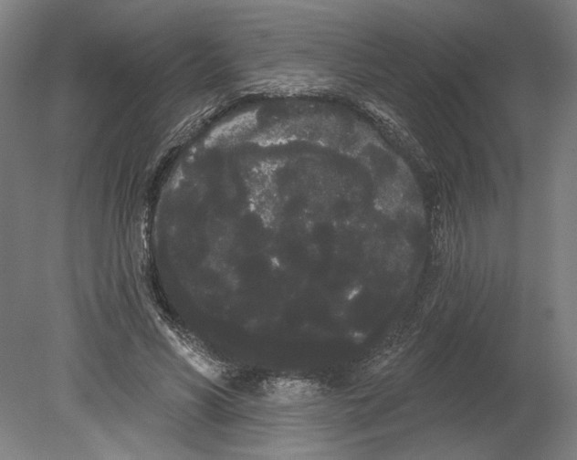 X0000080670590200701051010