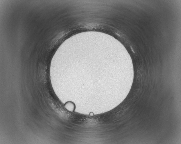 X0000080670592200701051010