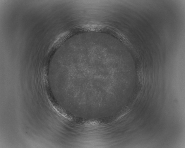 X0000080670594200701051010