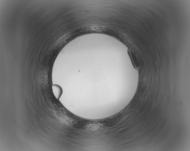 X0000080670595200701051010