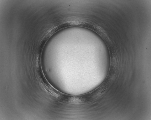 X0000080670596200701051010